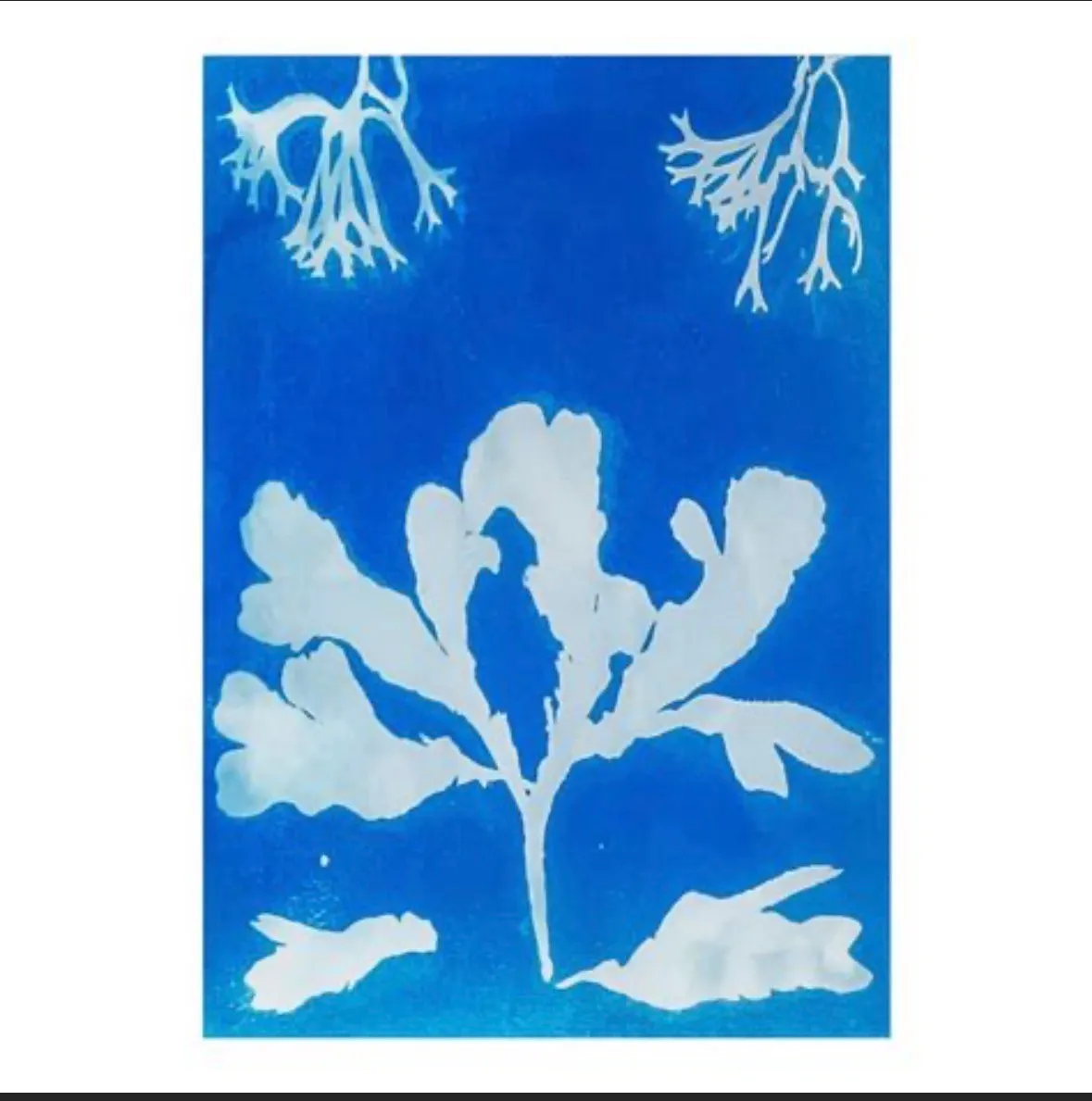 Cyanotype printing workshop